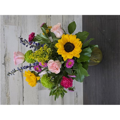 SP26-428-SunnyGarden