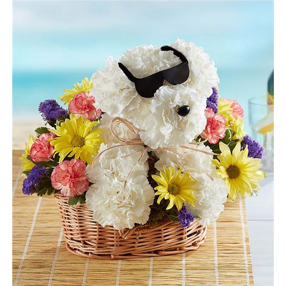cool pup floral arrangement