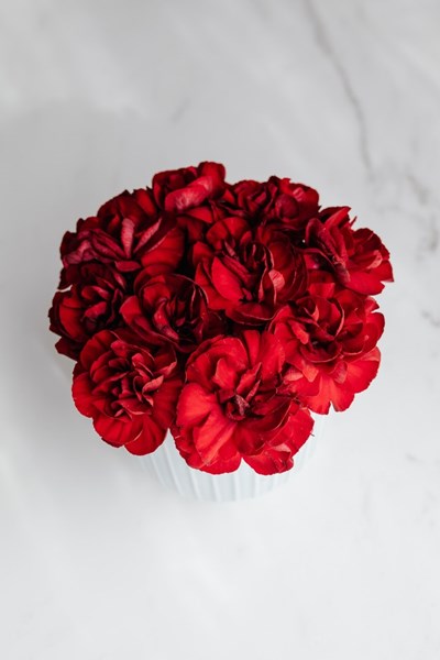Bouquet_of_Red_Carnations